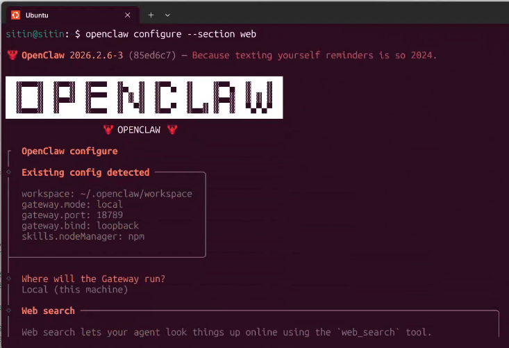 Ubuntu 终端中的 OpenClaw 安装配置界面